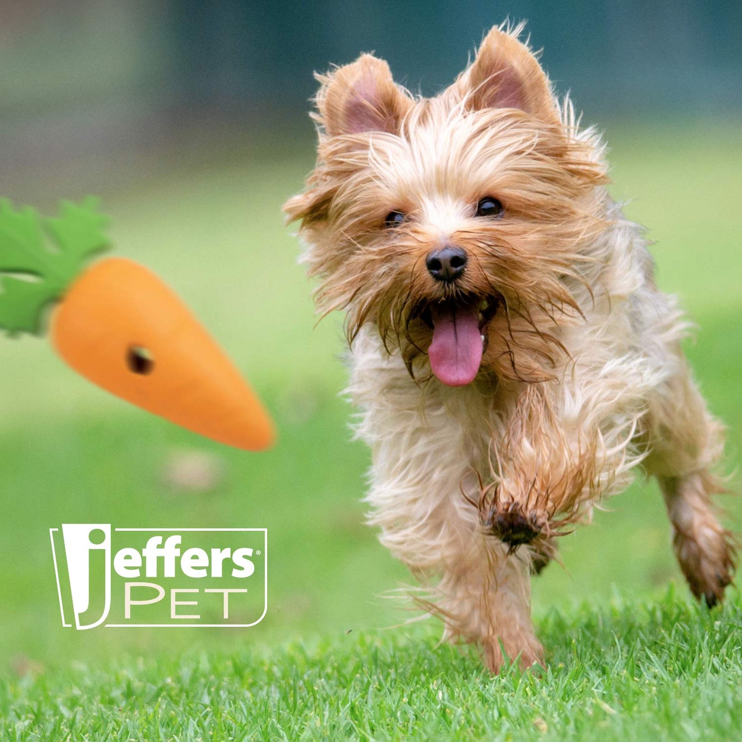 Jeffers Natural Rubber Baby Carrot Treat Dispensing Dog Chew Toy