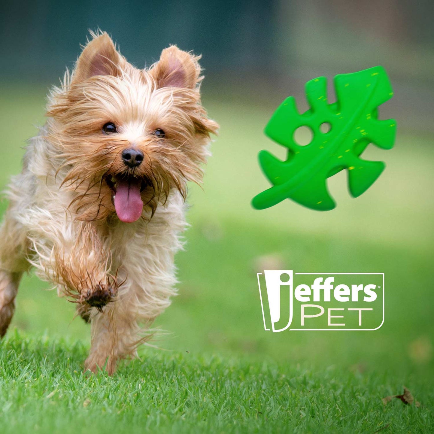 Jeffers Natural Rubber Leaf Dog Chew Toy with Vanilla Scent for Medium-Chewers