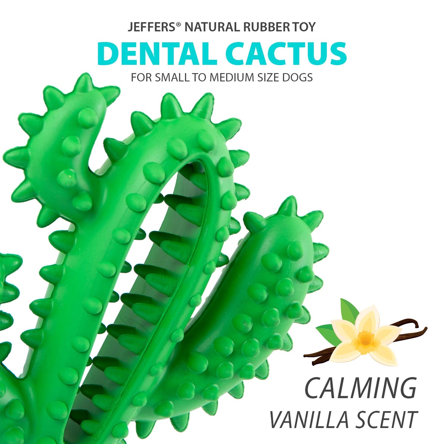 Jeffers Natural Rubber Cactus Dental Chew Toy for Dogs for Healthy Chewing Habits