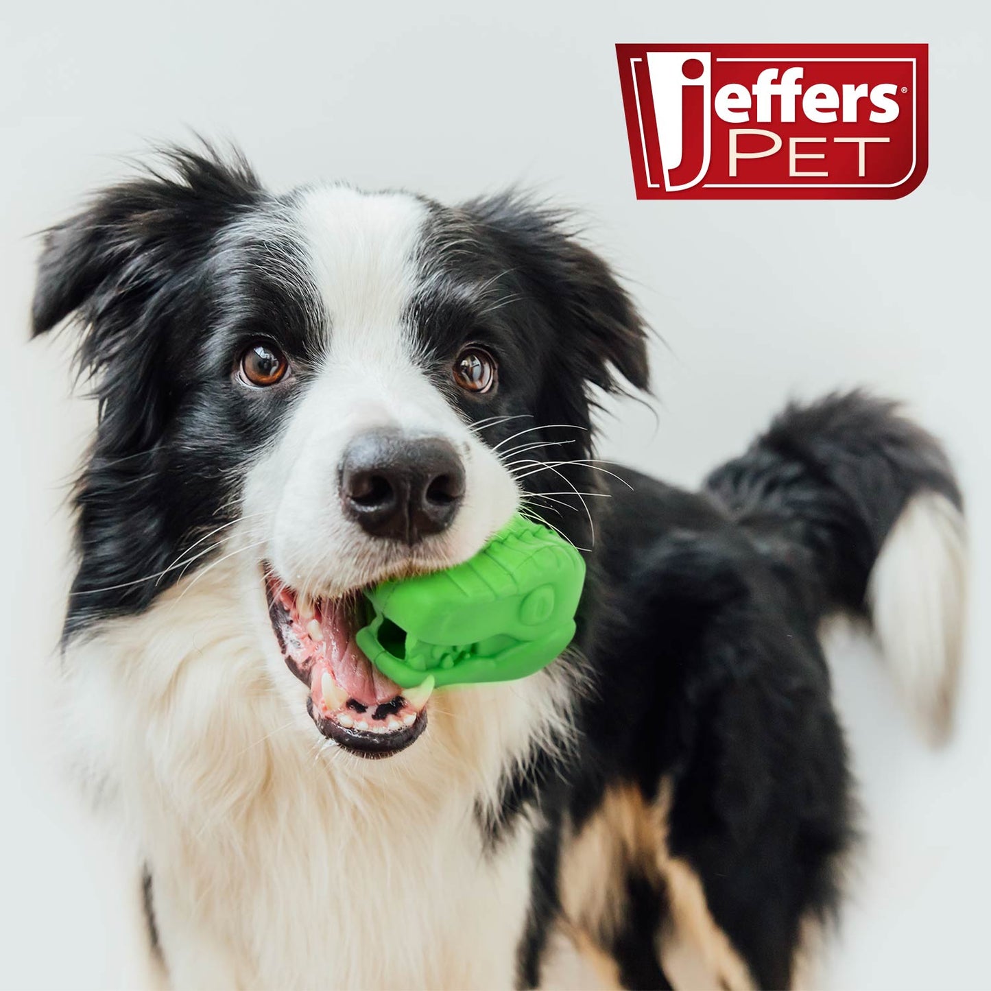Jeffers Natural Rubber T-Rex Dog Chew Toy for Medium Chewers with Vanilla Scent