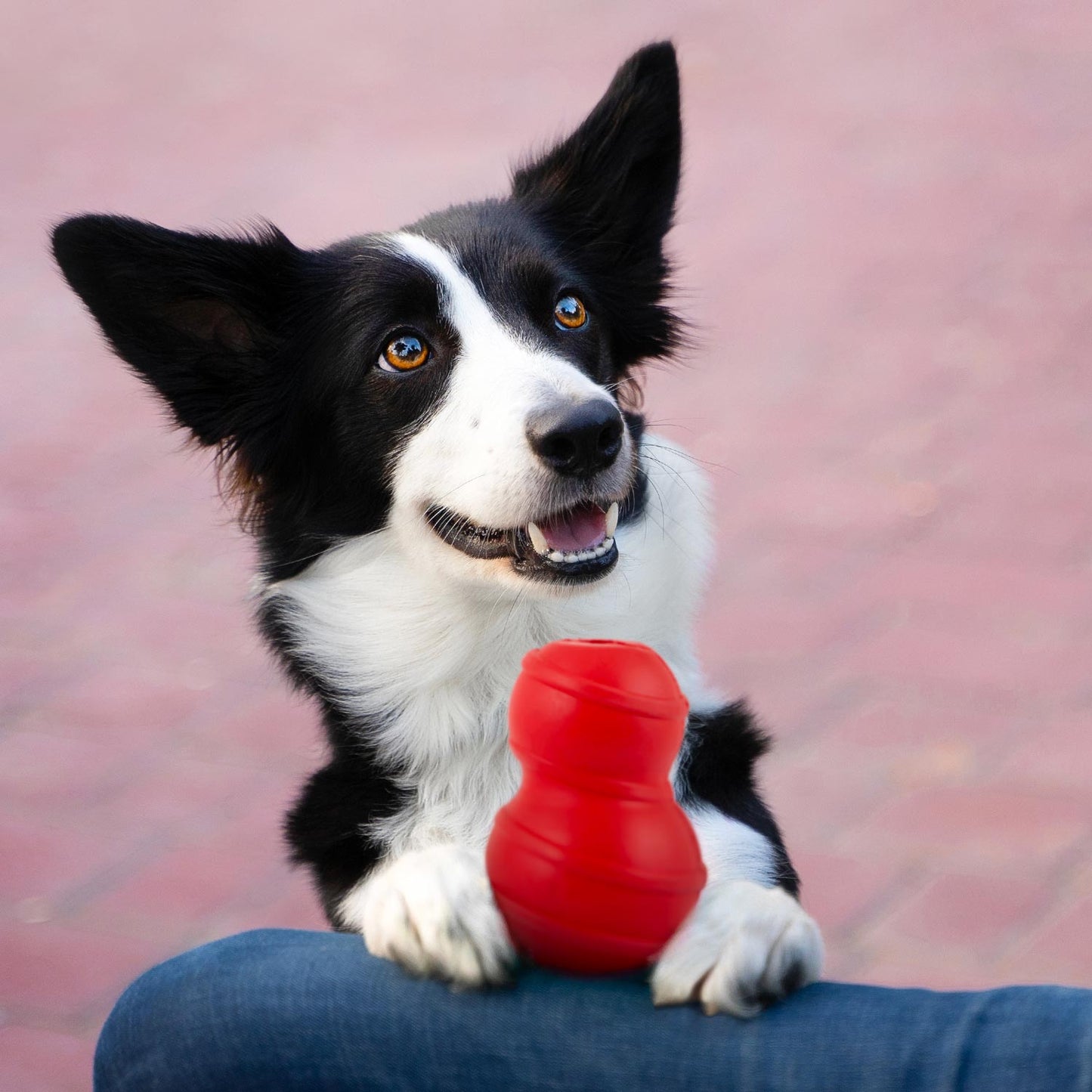 Jeffers Stuffable Fetch & Chew Dog Toy made from Durable, Natural Rubber