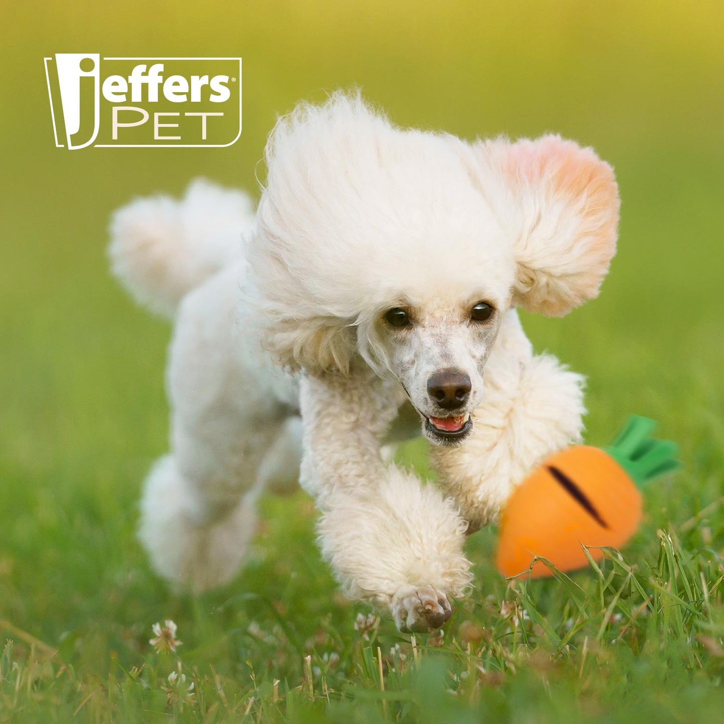 Jeffers Natural Rubber Carrot Treat Dispensing Chew Toy