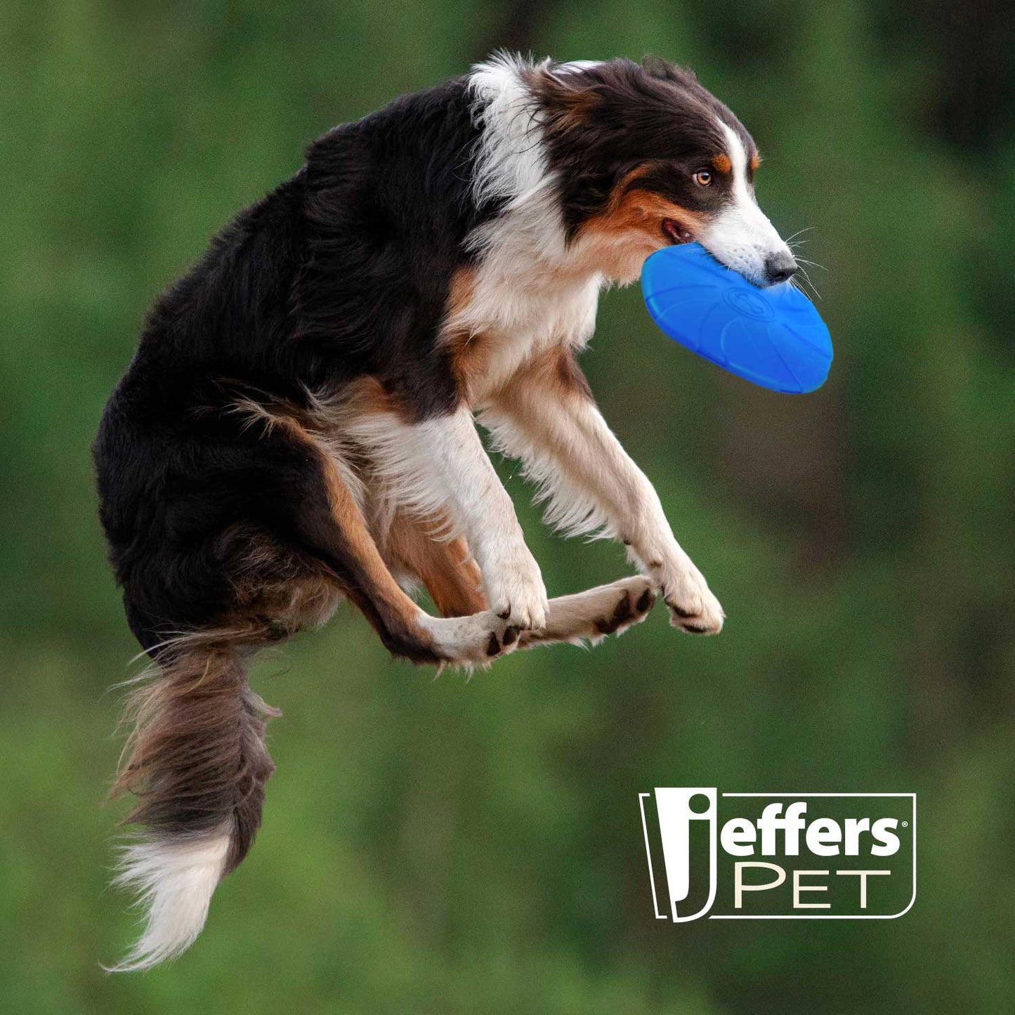 Jeffers Natural Rubber Blue Bone 8 Inch Frisbee Dog Toy for Fetching & Chewing