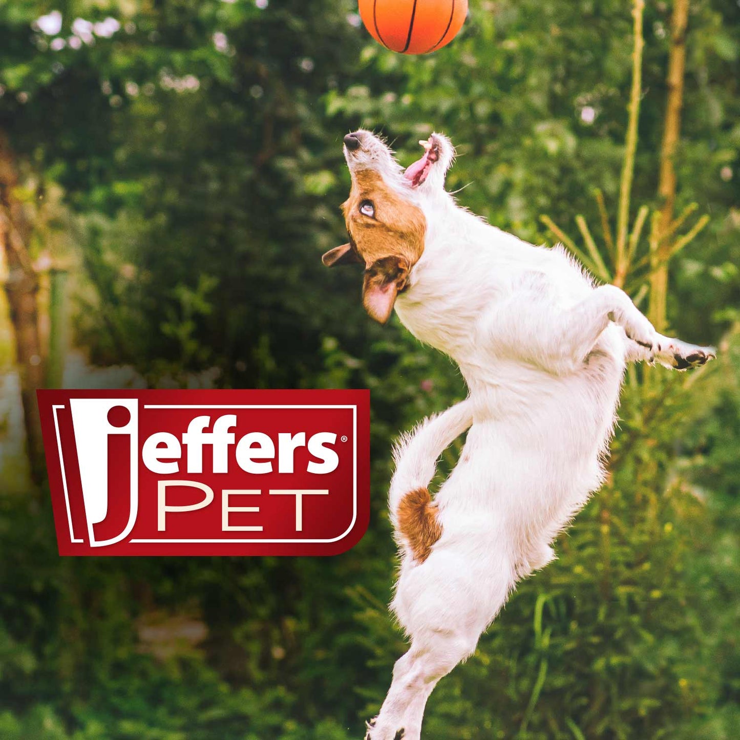 Jeffers Red Chameleon Natural Rubber Dog Chew Toy