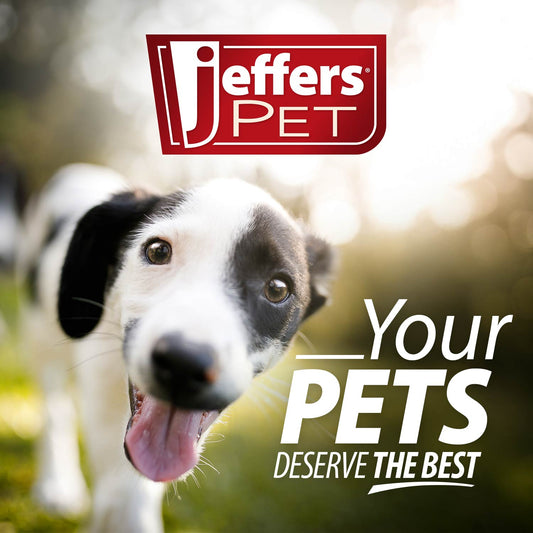 Jeffers Natural Rubber Tomato Shape Dog Chew Toy for Medium-Chewers