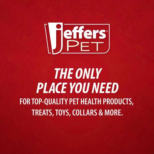 Jeffers Natural Rubber Red Bouncing Ball Dog Toy with Waves for Energetic Play