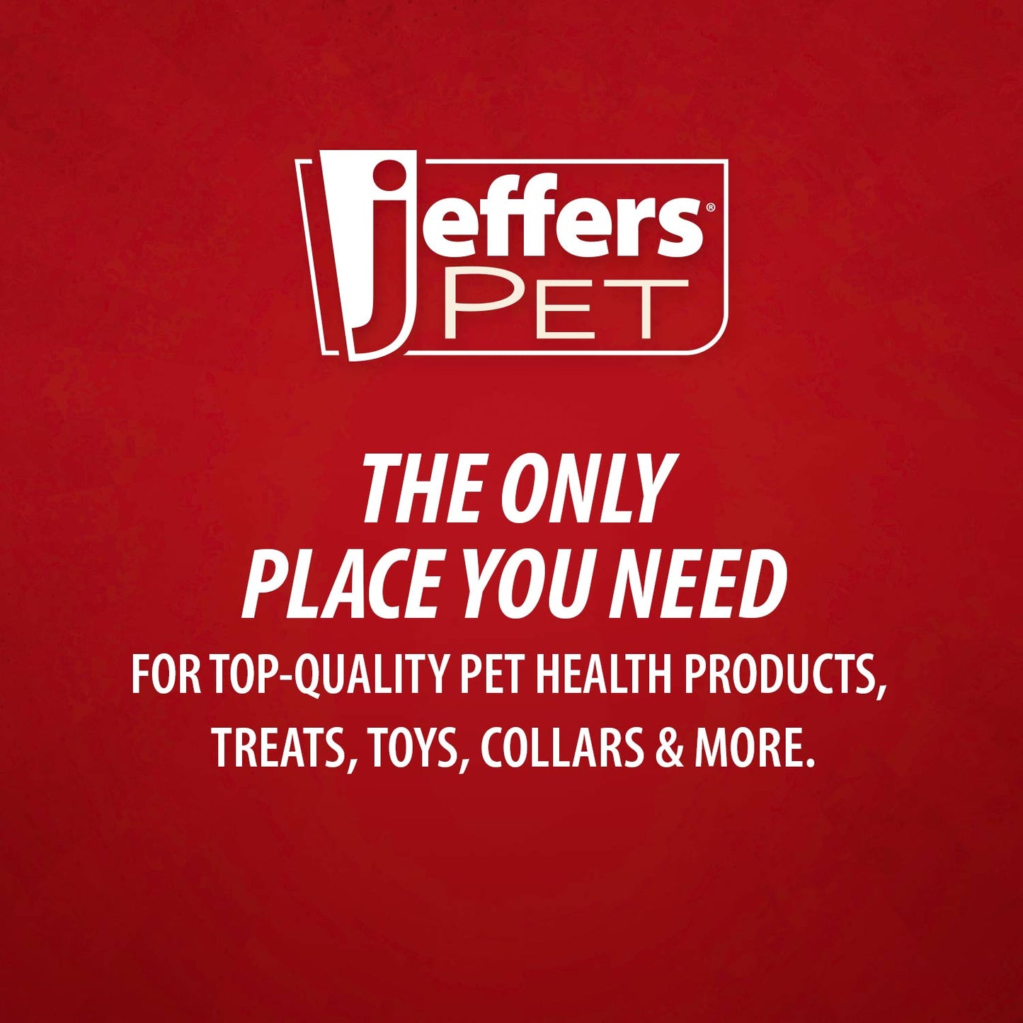 Jeffers Natural Rubber Tomato Shape Dog Chew Toy for Medium-Chewers